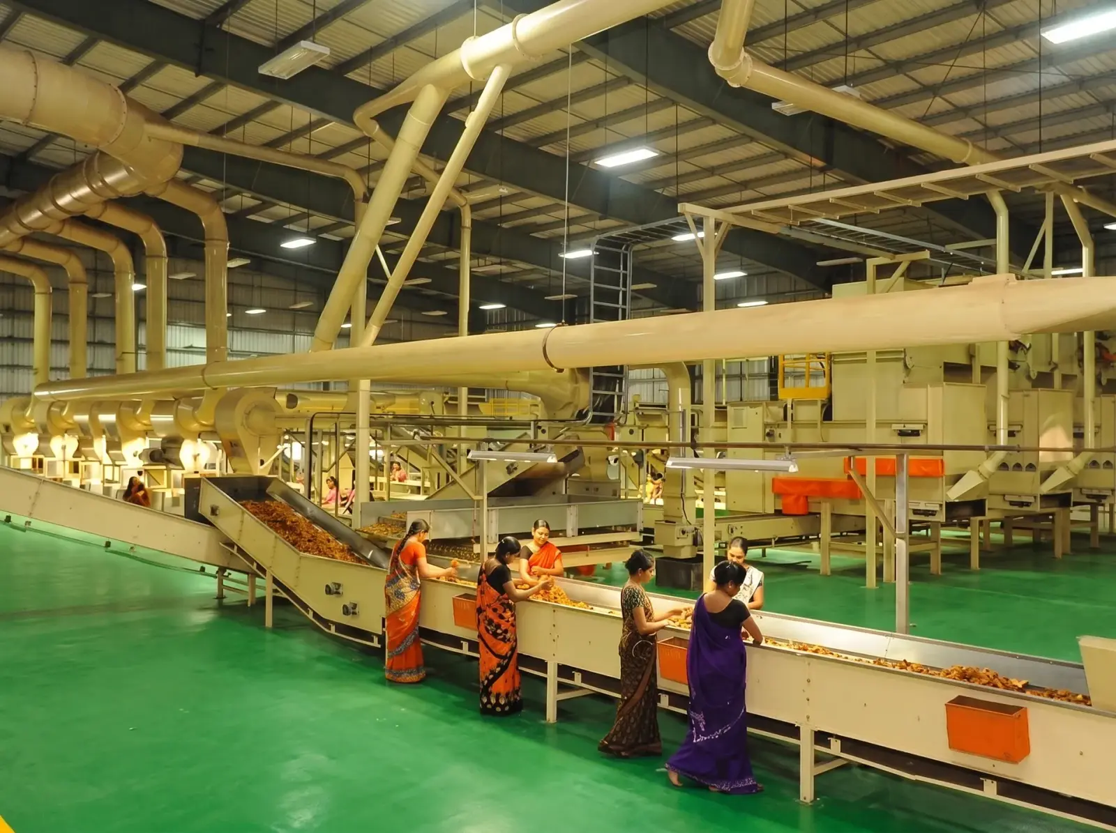 Workers picking over tobacco leaf on a conveyor inside a green leaf threshing plant